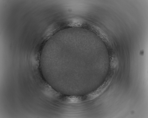 X0000116440370201001191537