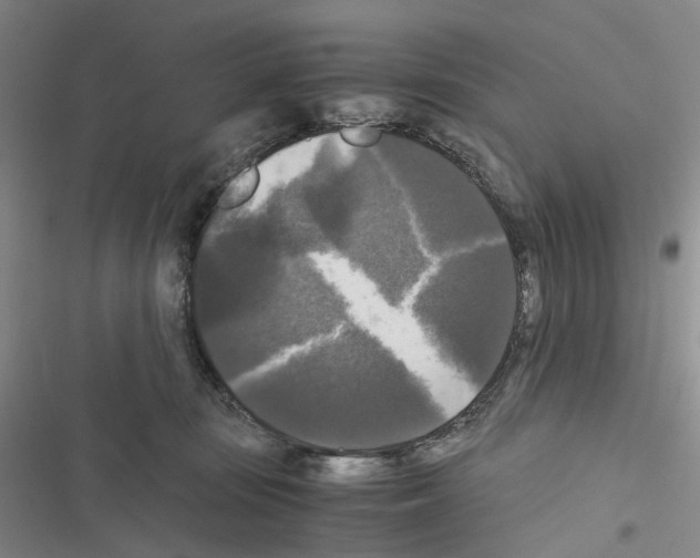 X0000116440371201001191537