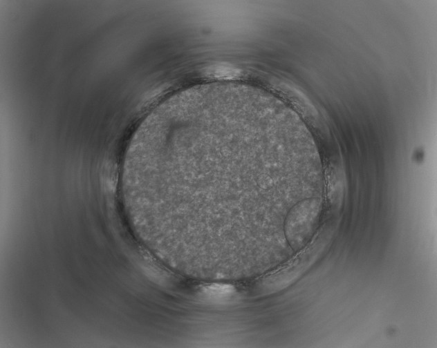 X0000116440374201001191537