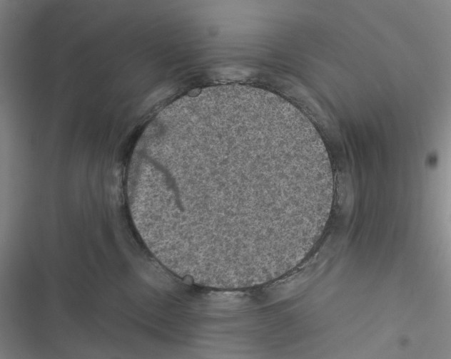 X0000116440378201001191537