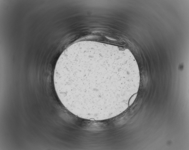 X0000116440379201001191537