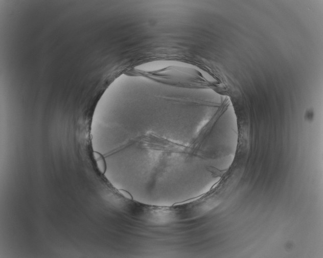 X0000116440383201001191537