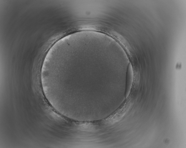 X0000116440385201001191536