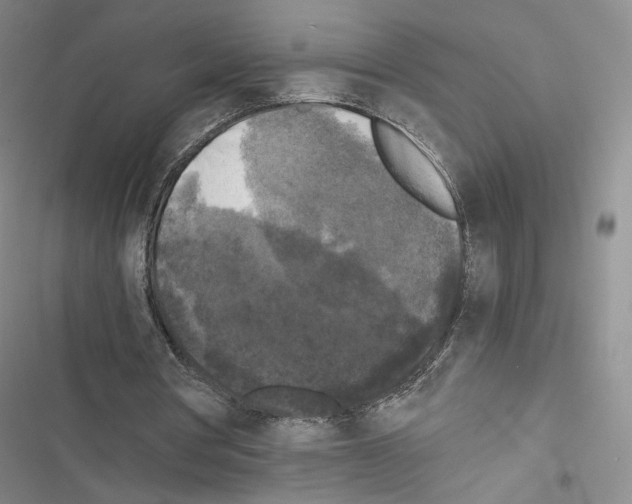 X0000116440386201001191536