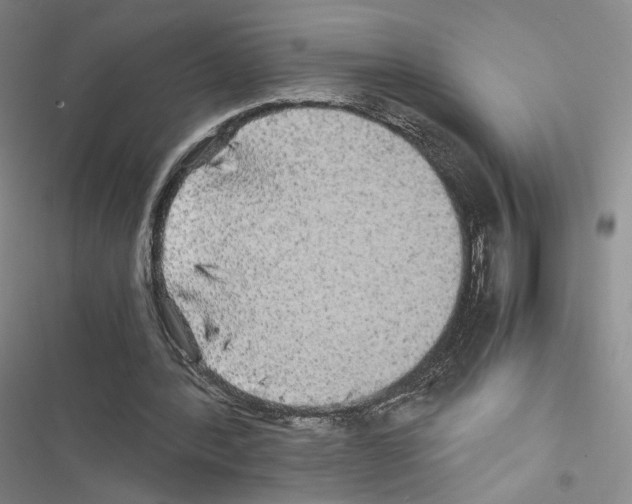 X0000116440388201001191536