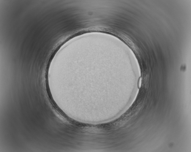 X0000116440389201001191536