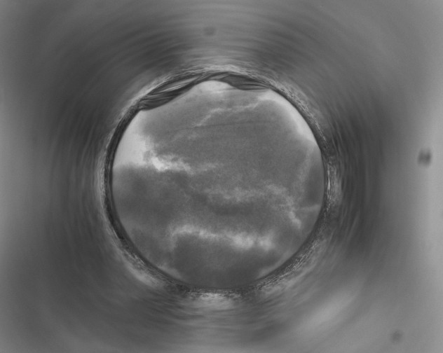 X0000116440390201001191536