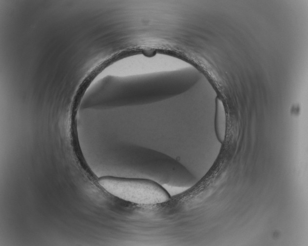 X0000116440391201001191536