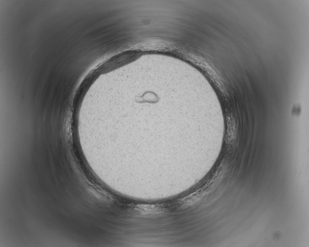 X0000116440392201001191536