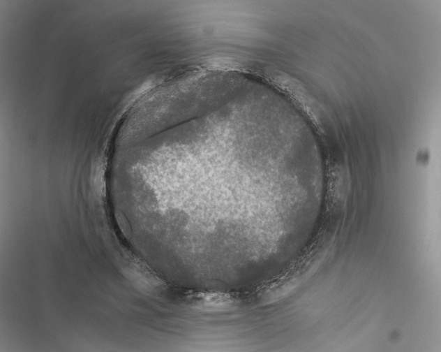 X0000116440395201001191536