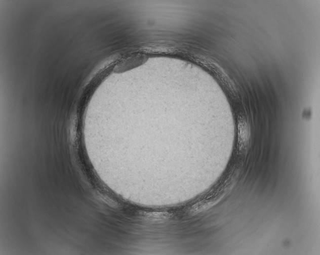 X0000116440396201001191536