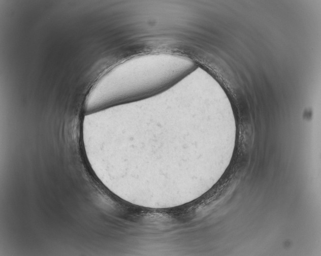 X0000116440397201001191536