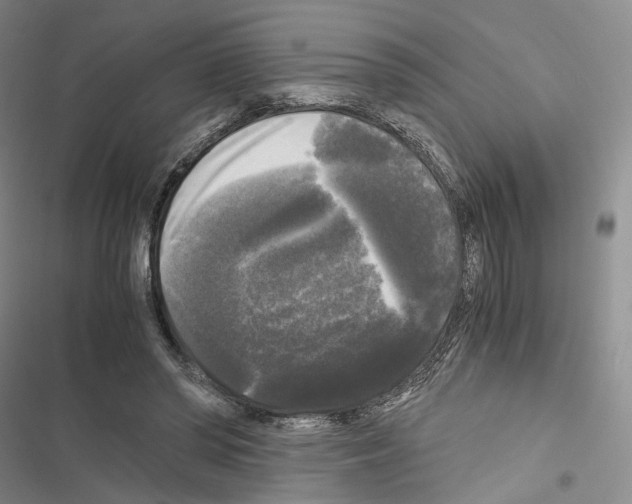 X0000116440398201001191536