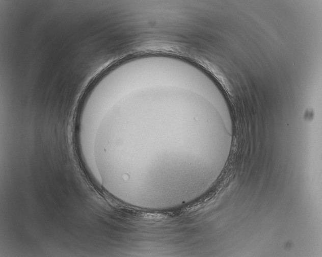 X0000116440399201001191536