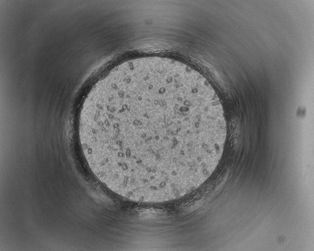 X0000116440400201001191536