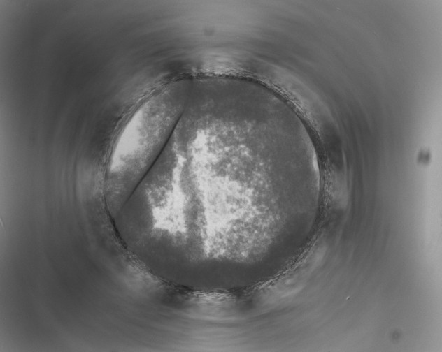 X0000116440401201001191536