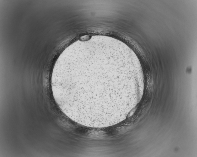 X0000116440403201001191536