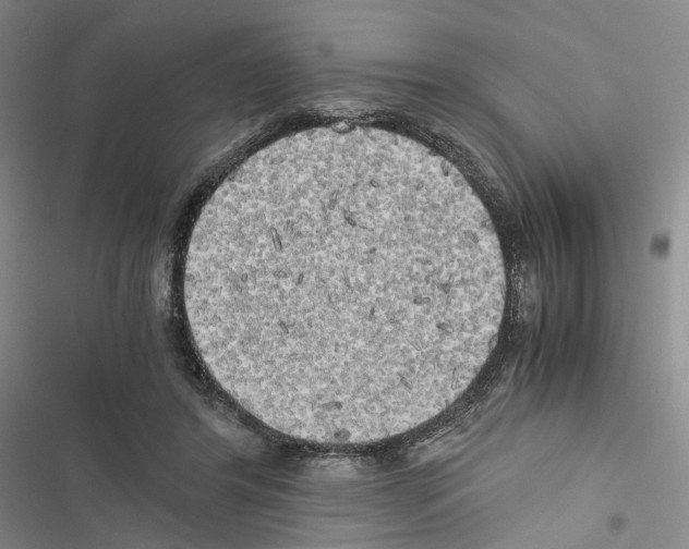 X0000116440404201001191536