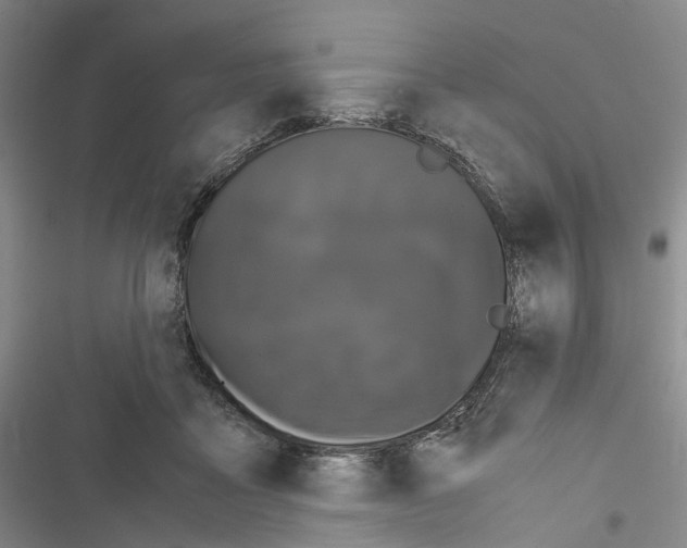 X0000116440411201001191536