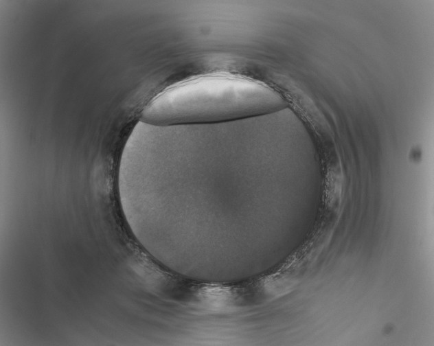 X0000116440413201001191536