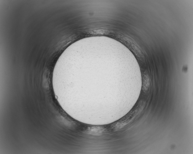 X0000116440414201001191536