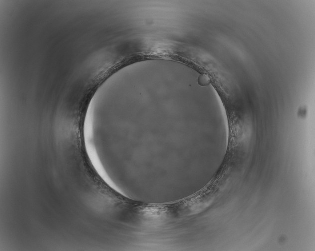 X0000116440415201001191536