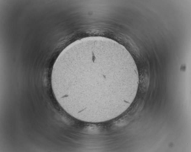 X0000116440416201001191536