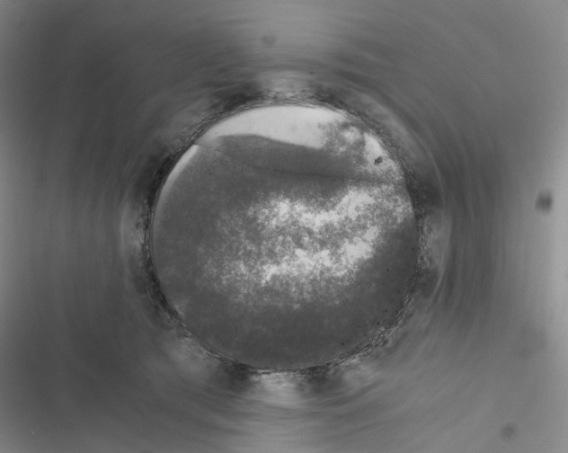 X0000116440417201001191536