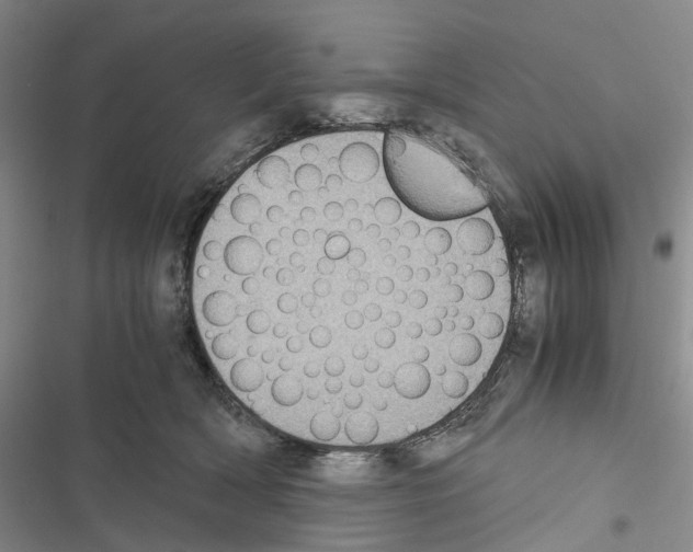 X0000116440418201001191536