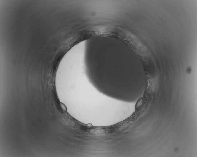 X0000116440419201001191536