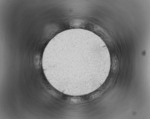 X0000116440420201001191536