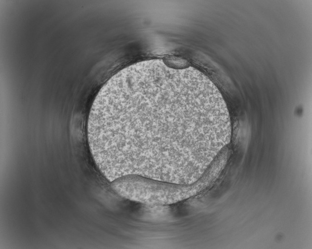 X0000116440421201001191536