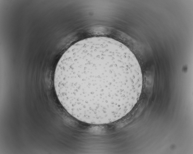 X0000116440422201001191536