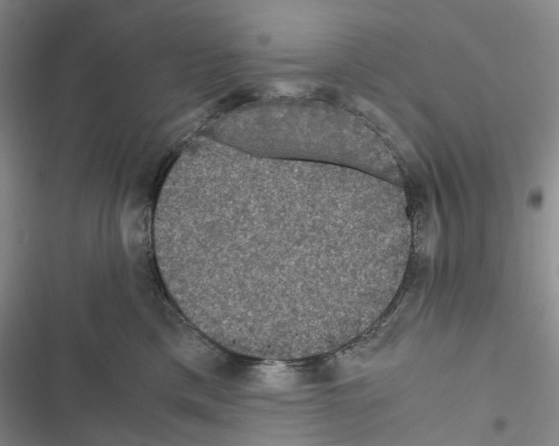 X0000116440425201001191536