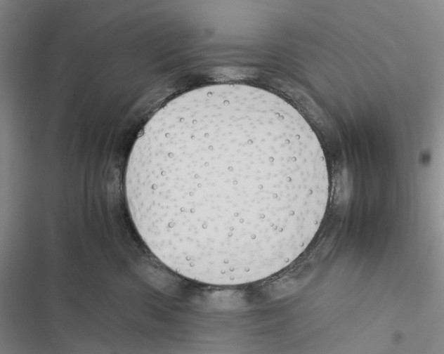 X0000116440426201001191536