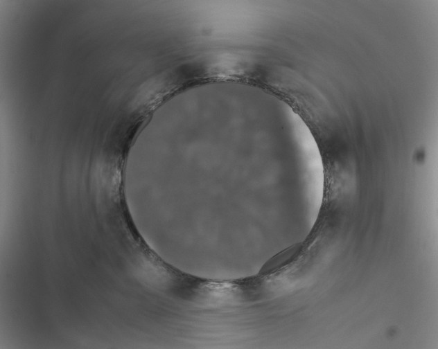 X0000116440427201001191536