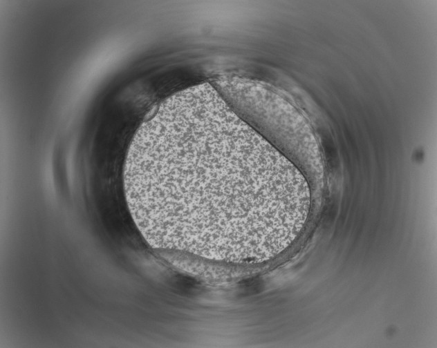 X0000116440429201001191536