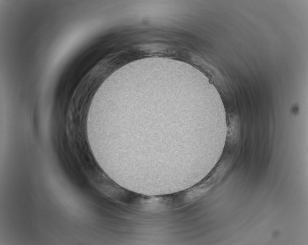 X0000116440430201001191536