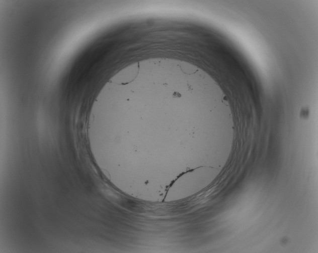 X0000116440431201001191536