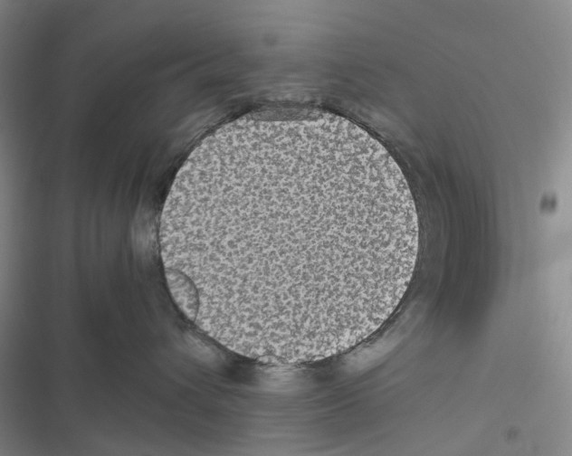 X0000116440432201001191536