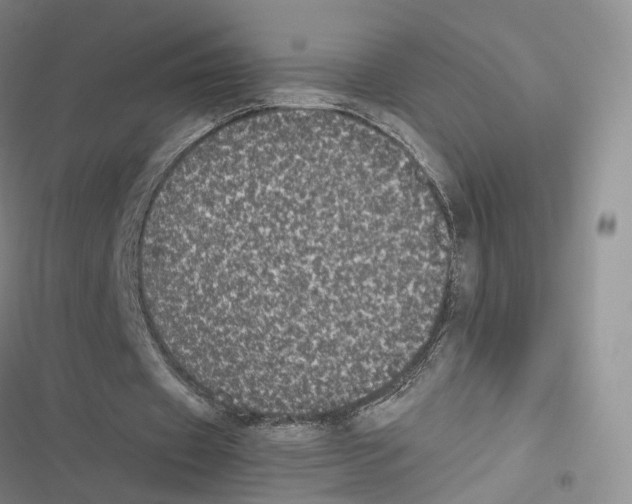 X0000116440433201001191535