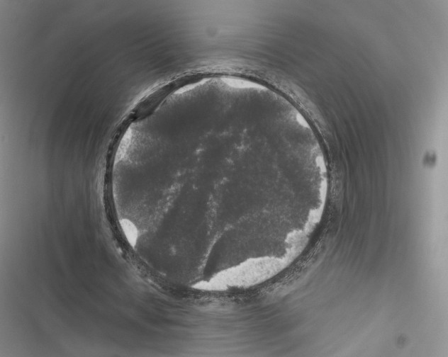 X0000116440434201001191535