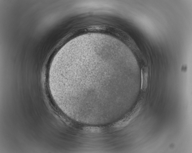 X0000116440435201001191535