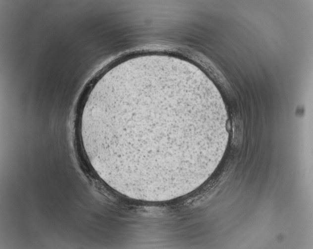 X0000116440436201001191535