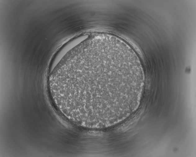 X0000116440437201001191535