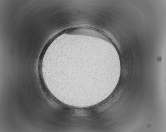 X0000116440439201001191535