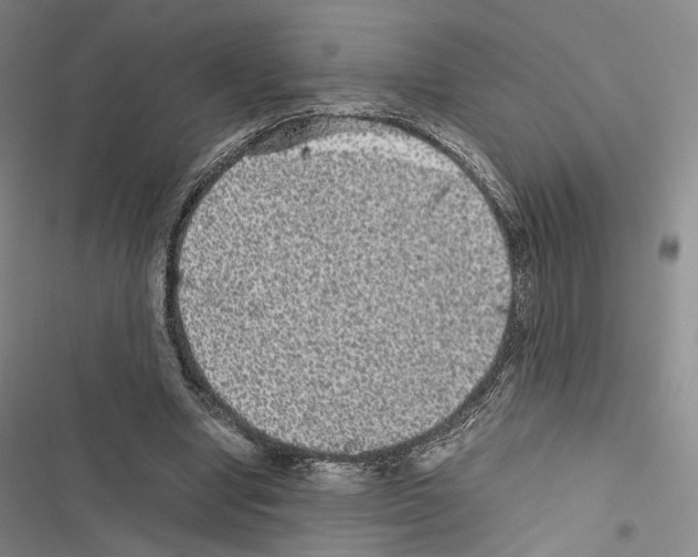 X0000116440442201001191535