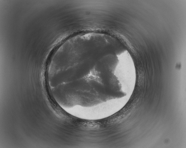 X0000116440443201001191535