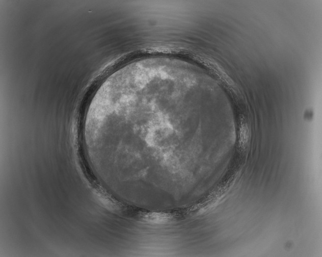 X0000116440444201001191535