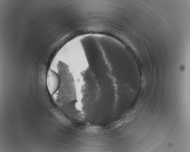 X0000116440446201001191535